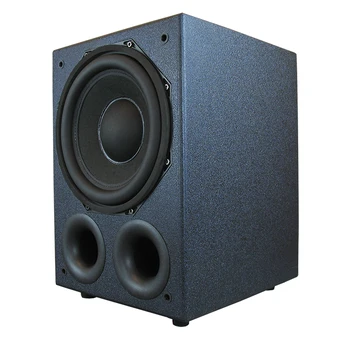 Wentins 12 Inch Activ Excesul De Greutate Subwoofer Home Theater HiFi