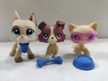 3pcs/lot LPS figurina Jucarie magazin pentru animale de companie CÂINE, Pisică W/accesorii Littlest Pet Shop copil jucărie #1647#1262#733