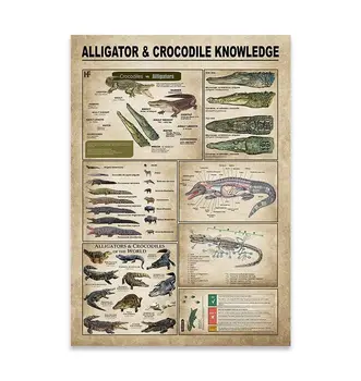 Aligator & Crocodil Cunoștințe Postere Metal Semne De Aligator & Crocodil Cunoștințe Postere Semne De Metal De Epocă Placa F