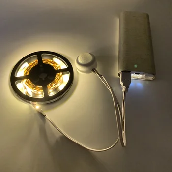 5V Senzor de Mișcare PIR, Lumina de Noapte LED 2835 SMD Benzi cu LED-uri Senzor de Lumina USB Benzi cu LED-uri lampă Dulap Garderoba Scări Lampă cu Lumină LED
